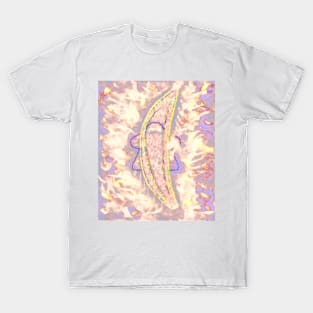 Sapphire MeepNana Sparkle Flip 4 T-Shirt